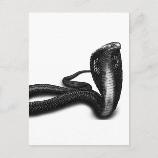 Cobra Briefkaart (Voorkant)