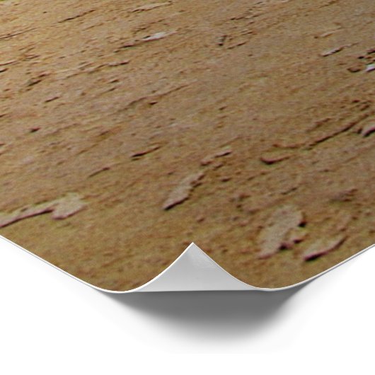 Cobra Classic Poster (Hoek)