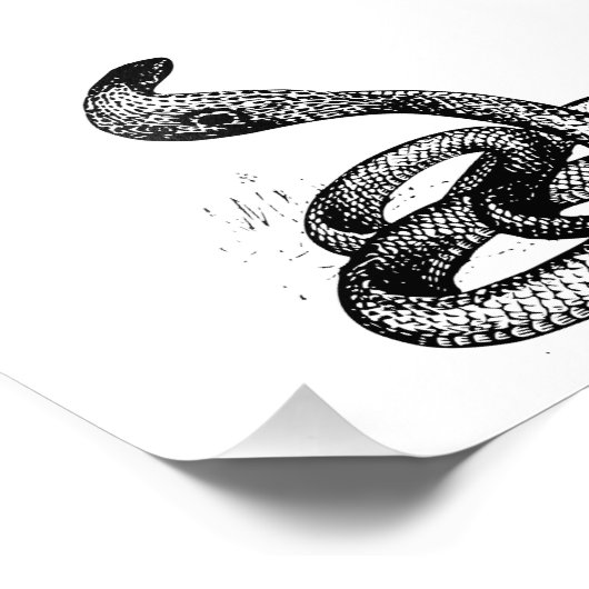 Cobra Foto Afdruk (Hoek)