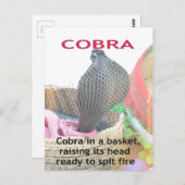Cobra in Basket Art Print Briefkaart (Voorkant / Achterkant)