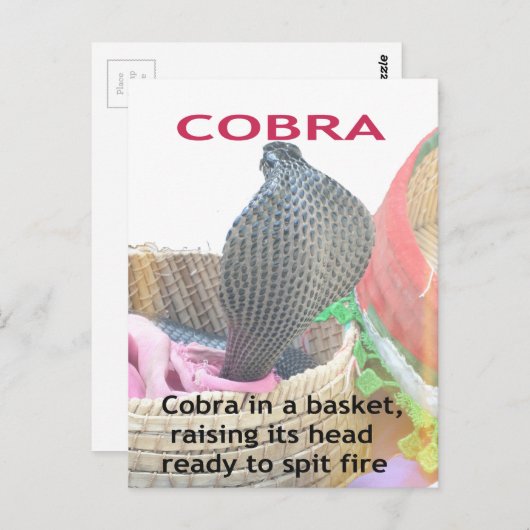 Cobra in Basket Art Print Briefkaart (Voorkant / Achterkant)