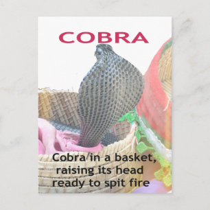 Cobra in Basket Art Print Briefkaart