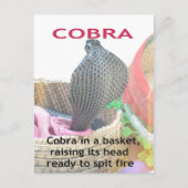 Cobra in Basket Art Print Briefkaart (Voorkant)