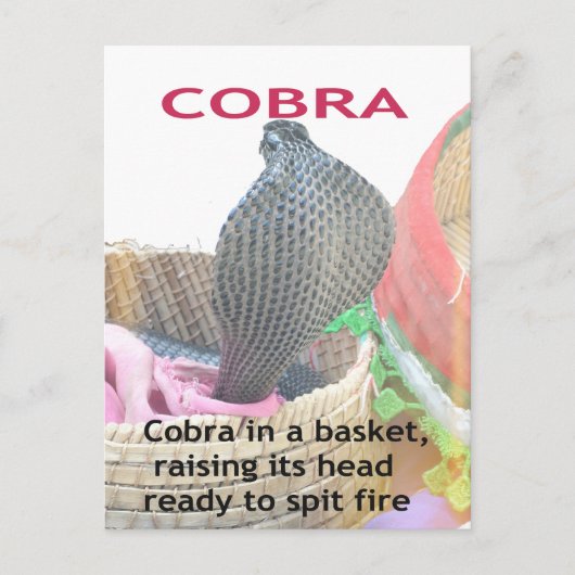Cobra in Basket Art Print Briefkaart (Voorkant)