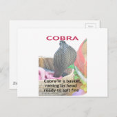 Cobra in Basket Art Print Briefkaart (Voorkant / Achterkant)