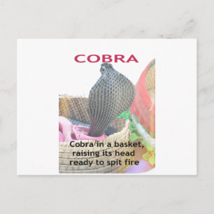 Cobra in Basket Art Print Briefkaart