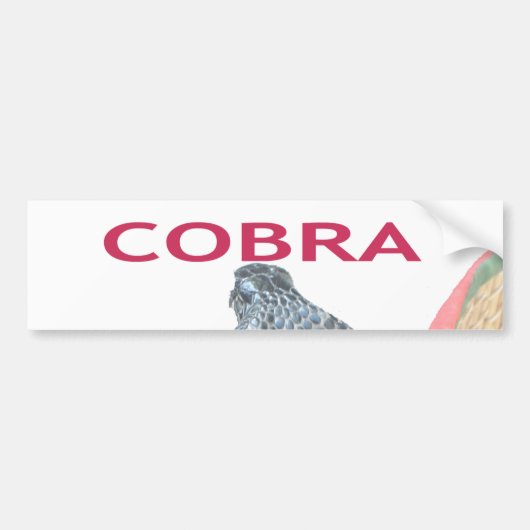 Cobra in Basket Art Print Bumpersticker (Voorkant)