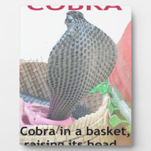 Cobra in Basket Art Print Fotoplaat