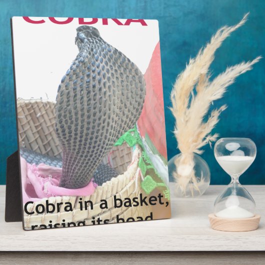 Cobra in Basket Art Print Fotoplaat (Zijkant)