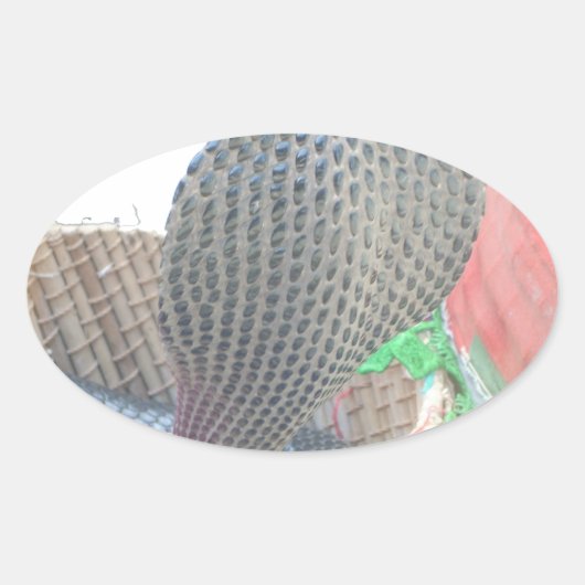 Cobra in Basket Art Print Ovale Sticker (Voorkant)