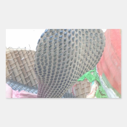 Cobra in Basket Art Print Rechthoekige Sticker (Voorkant)