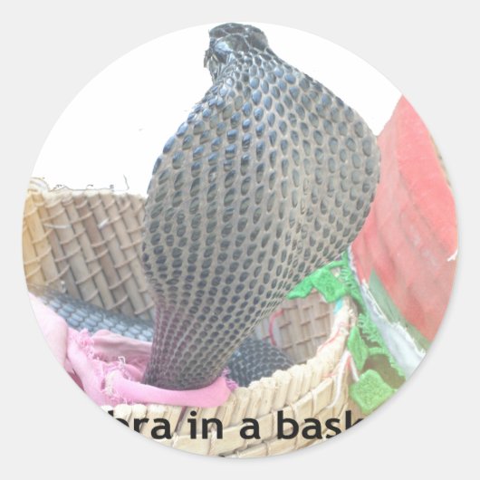 Cobra in Basket Art Print Ronde Sticker (Voorkant)