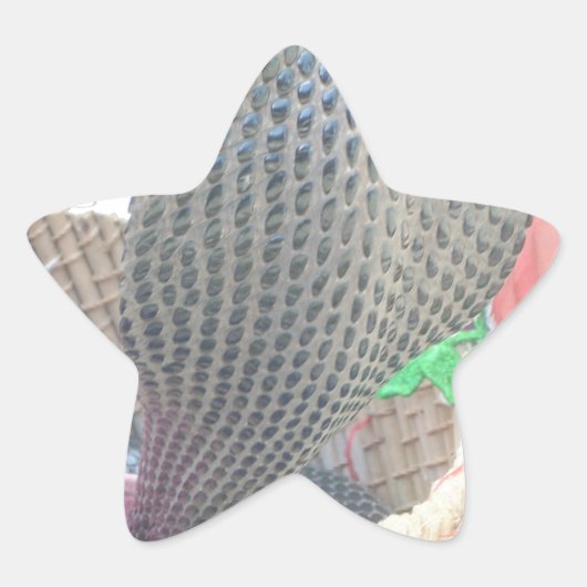 Cobra in Basket Art Print Ster Sticker (Voorkant)