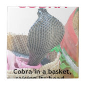 Cobra in Basket Art Print Tegeltje (Voorkant)