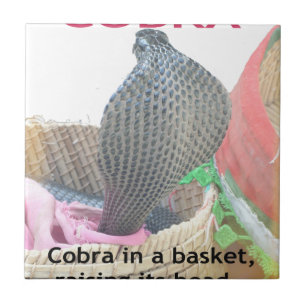 Cobra in Basket Art Print Tegeltje