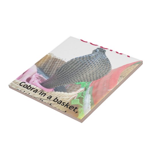Cobra in Basket Art Print Tegeltje (Zijkant)