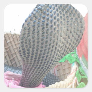 Cobra in Basket Art Print Vierkante Sticker