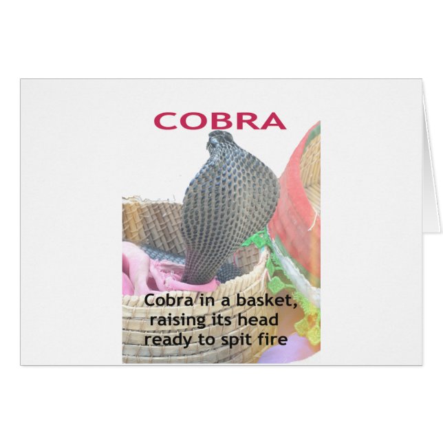 Cobra in een mandje klaar om te spugen (Voorkant Horizontaal)