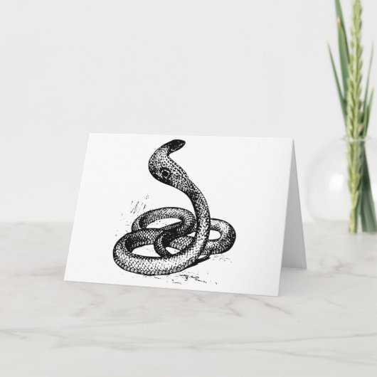 Cobra Kaart (Voorkant)