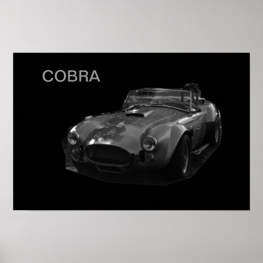 COBRA POSTER (Voorkant)