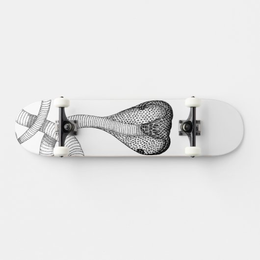 Cobra Skateboard (Horizontaal)