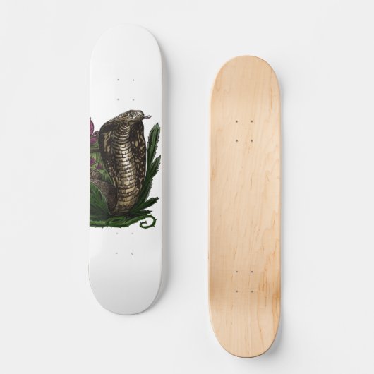 Cobra Skateboard (Voorkant)