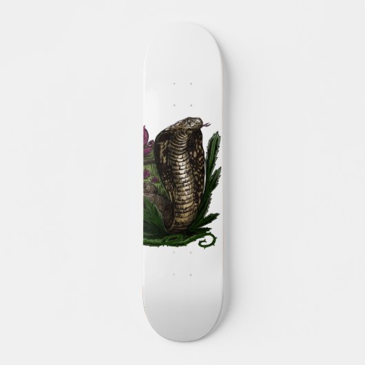 Cobra Skateboard (Voorkant)