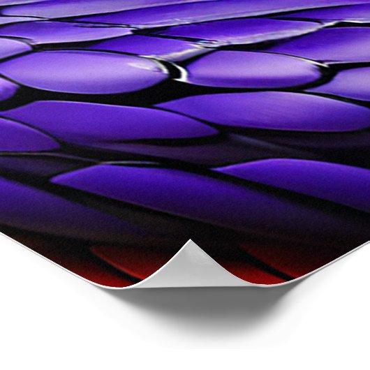 Cobra slang met levendige groene en paarse schubbe poster (Hoek)