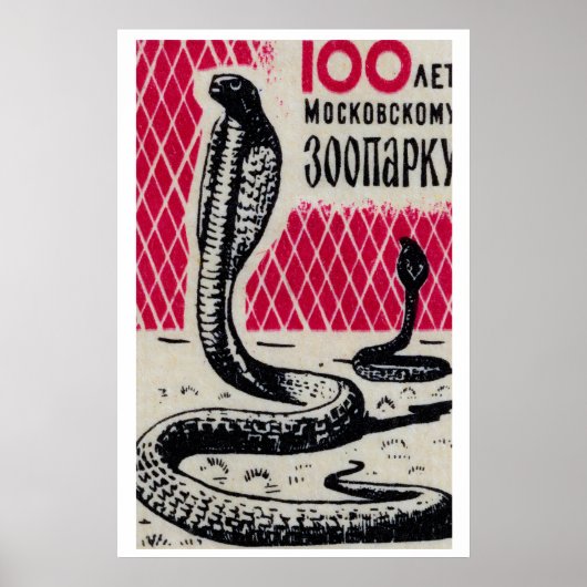 Cobra Slangen - Matchbox Print - Tsjechische Muurk (Voorkant)