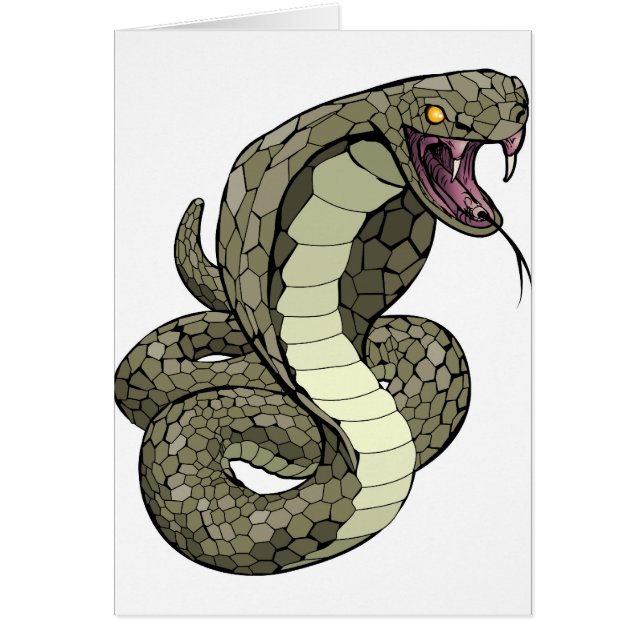 Cobra snake staat op het punt te slaan (Voorkant)