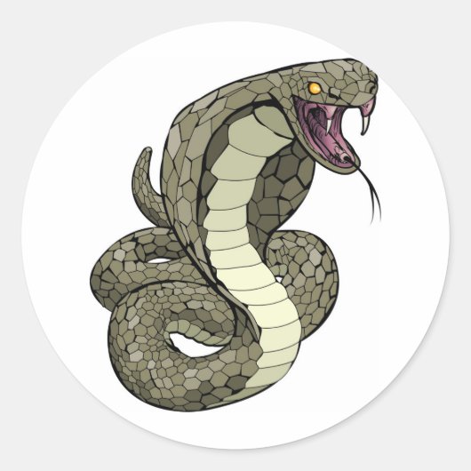 Cobra snake staat op het punt te slaan ronde sticker (Voorkant)