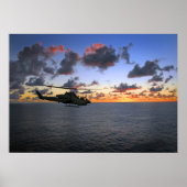 Cobra Sunset Poster (Voorkant)