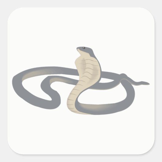 Cobra Vierkante Sticker (Voorkant)