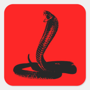 Cobra - zwart vierkante sticker