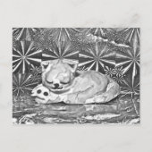 Cobweb + Crabfren Briefkaart (Voorkant)