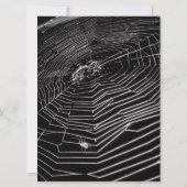 Cobwebs and White Spiders Birthday Kaart (Achterkant)