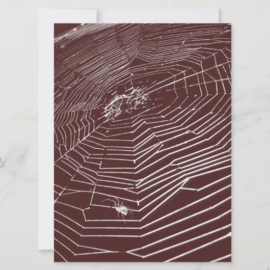 Cobwebs and White Spiders Wedding Invitation Kaart (Achterkant)