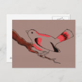 Coca Birdy briefkaart (Voorkant / Achterkant)