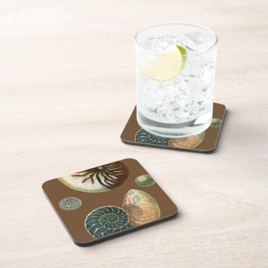 Coca Shell Bier Onderzetter (Rechterzijde)