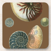 Coca Shell Bier Onderzetter (Voorkant)