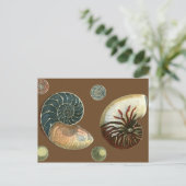 Coca Shell Briefkaart (Staand voorkant)