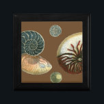 Coca Shell Cadeaudoosje<br><div class="desc">Haal dit unieke,  met een mondspoeling gewassen rode en blauwe Conch seashell-afbeelding op je volgende product. Deze geweldige cacao achtergrond deze twee unieke seizoenshellen. Neem het strand mee waar je ook gaat.</div>