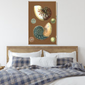 Coca Shell Canvas Afdruk (Insitu (Slaapkamer))