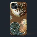 Coca Shell iPhone 13 Hoesje<br><div class="desc">Haal dit unieke,  met een mondspoeling gewassen rode en blauwe Conch seashell-afbeelding op je volgende product. Deze geweldige cacao achtergrond deze twee unieke seizoenshellen. Neem het strand mee waar je ook gaat.</div>