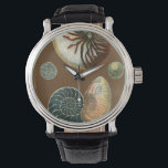 Coca Shell Horloge<br><div class="desc">Haal dit unieke,  met een mondspoeling gewassen rode en blauwe Conch seashell-afbeelding op je volgende product. Deze geweldige cacao achtergrond deze twee unieke seizoenshellen. Neem het strand mee waar je ook gaat.</div>