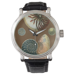 Coca Shell Horloge