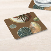 Coca Shell Kartonnen Onderzetters (Schuin)