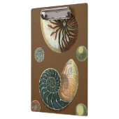 Coca Shell Klembord (Links)