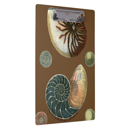 Coca Shell Klembord (Rechts)