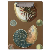 Coca Shell Klembord (Voorkant)